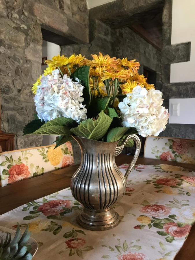 Charming Green Country House Nordestinho Екстер'єр фото